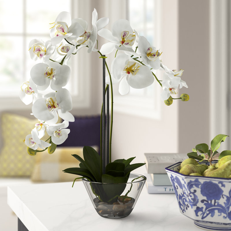 Three Posts Phalaenopsis Silk White Orchid in Glass Vase & Reviews